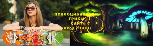 спиды Аркадак