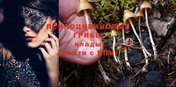 спиды Аркадак
