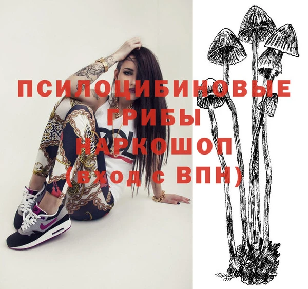 спиды Аркадак